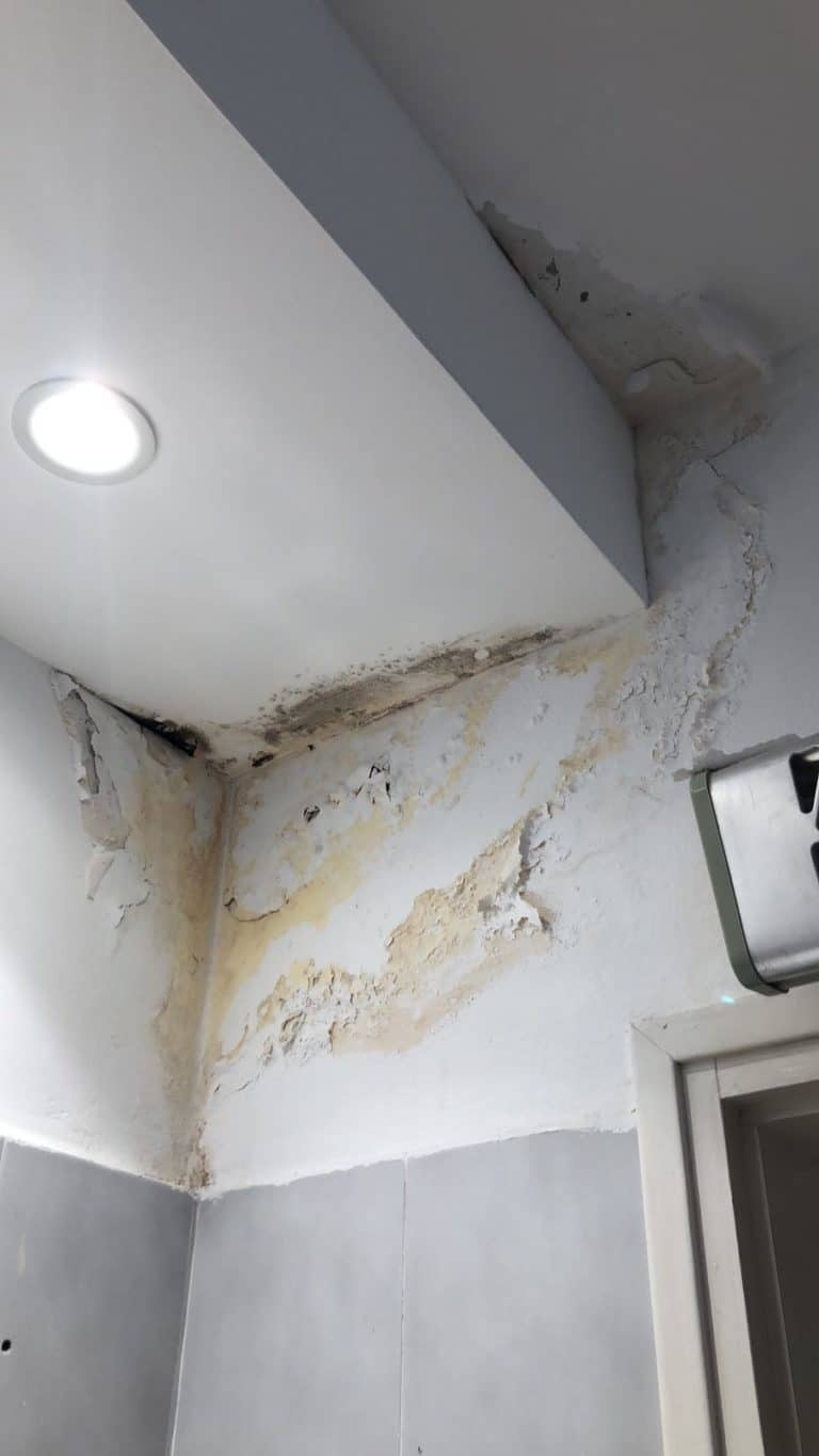 פינת חדר שבה הטיח מתקלף וכתמי רטיבות חומים מתפשטים סביב גוף תאורה